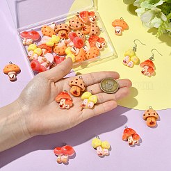 30Pcs 5 Styles Resin Pendants&nbsp;RESI-CJ0005-20
