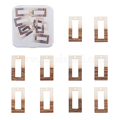 Resin & Wood Pendants&nbsp;RESI-OL0001-09B