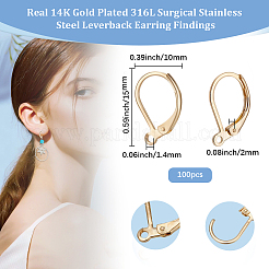 100Pcs 316L Surgical Stainless Steel Leverback Earring Findings&nbsp;STAS-BBC0010-91