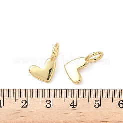 Brass Pendants&nbsp;KK-L239-014G