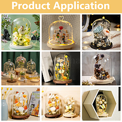 Glass Dome Cover&nbsp;DIY-WH0504-317B