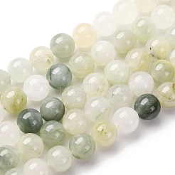 Natural Gemstone Beads Strands&nbsp;G-F808-C02-10mm