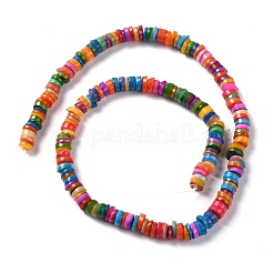 Natural Freshwater Shell Beads Strands&nbsp;SHEL-C001-06