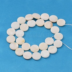 Natural White Shell Beads Strands&nbsp;PBB251Y-2