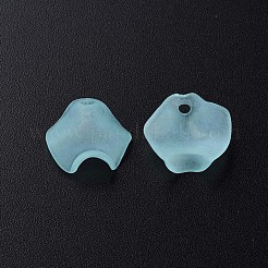 Transparent Acrylic Beads&nbsp;MACR-S373-106-D04