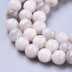 Natural White Agate Beads Strands&nbsp;G-K410-11-6mm