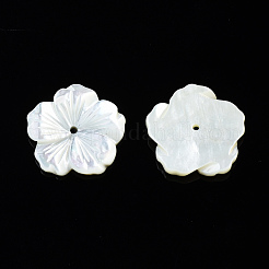 Natural White Shell Mother of Pearl Shell Beads&nbsp;SSHEL-T014-42B