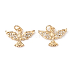 Rack Plating Brass Micro Pave Cubic Zirconia Charms&nbsp;KK-G452-17G