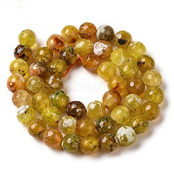Dyed & Heated Natural Fire Crackle Agate Beads Strands&nbsp;G-P539-B01-13