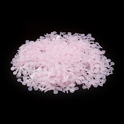 Plastic Sequin Beads&nbsp;PVC-R024-10A
