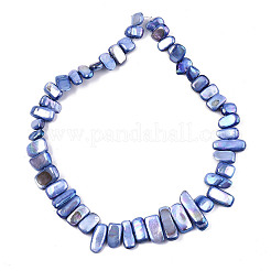 Natural Freshwater Shell Beads Strands&nbsp;X-SHEL-N026-123G