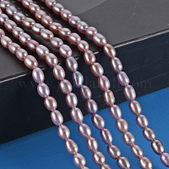 Natural Cultured Freshwater Pearl Beads Strands&nbsp;PEAR-N012-02D