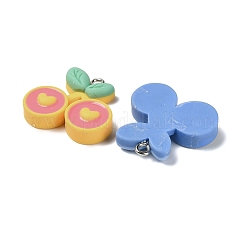 Resin Pendants&nbsp;RESI-I343-04