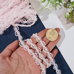 Polyester Lace Ribbon&nbsp;OCOR-WH20001-83B