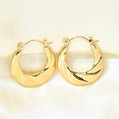 304 Stainless Steel Hoop Earrings for Women&nbsp;EJEW-L296-070G