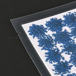 Pressed Dried Flowers&nbsp;DIY-K032-58J