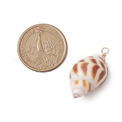 Natural Spiral Shell Pendants&nbsp;PALLOY-JF02949