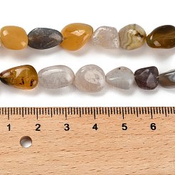 Natural Botswana Agate Beads Strands&nbsp;G-P497-01E-18