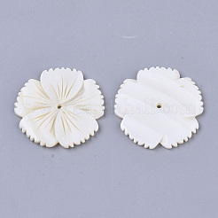 Freshwater Shell Beads&nbsp;SHEL-T016-04