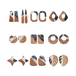 20Pcs 10 Style Resin & Walnut Wood Pendants&nbsp;RESI-KS0001-06