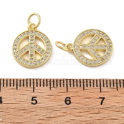 Brass Micro Pave Cubic Zirconia Charms&nbsp;KK-C092-04G