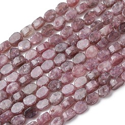 Natural Lepidolite/Purple Mica Stone Beads Strands&nbsp;G-H343-A01-01