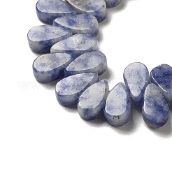 Natural Blue Spot Jasper Beads Strands&nbsp;G-B064-B59