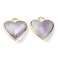 Natural Amethyst Pendants&nbsp;G-O204-01B