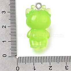 Luminous Transparent Resin Pendants&nbsp;RE-CBAAB56-11B