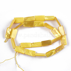 Spray Painted Freshwater Shell Beads&nbsp;SHEL-T010-04B