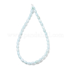 Dyed Natural Freshwater Shell Beads Strands&nbsp;SH-CBA2978-06C