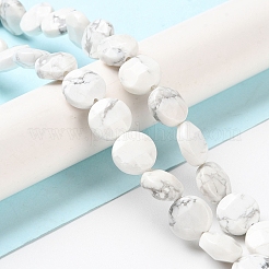 Natural Howlite Beads Strands&nbsp;G-K357-B06-01