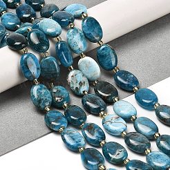 Natural Apatite Beads Strands&nbsp;G-H005-A03-02