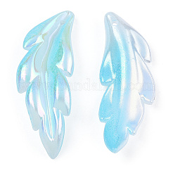 Transparent Acrylic Pendants&nbsp;TACR-TAC0005-03B