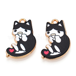 Rack Plating Alloy Pendants&nbsp;FIND-H043-06LG-02-1