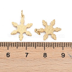 304 Stainless Steel Charms&nbsp;STAS-H241-32G