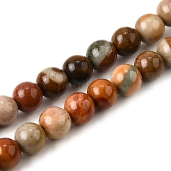 Natural Picture Jasper Beads Strands&nbsp;G-S390-07-6mm