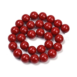 Shell Pearl Beads Strands&nbsp;BSHE-K015-14mm-01