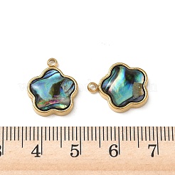 Natural Paua Shell Pendants&nbsp;STAS-G397-12G-02