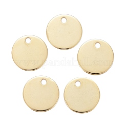 304 Stainless Steel Charms&nbsp;STAS-F174-06G