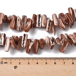 Dyed Natural Trochus Shell Beads Strands&nbsp;SSHEL-C013-09B