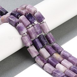 Natural Lepidolite Beads Strands&nbsp;G-M403-B35-03