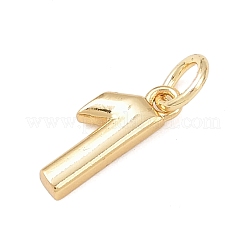 Brass Charms&nbsp;KK-G544-10G-01