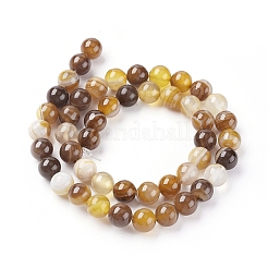 Natural Striped Agate/Banded Agate Beads Strands&nbsp;LS-G-G582-6mm-51