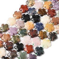 Mixed Natural Gemstone Flower Beads Strands&nbsp;G-L241A-07