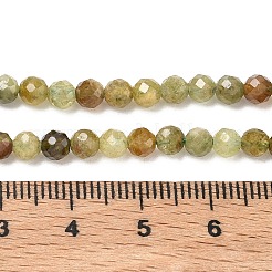 Natural Green Garnet Beads Strands&nbsp;G-Z161-A03-4mm
