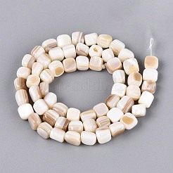 Natural Freshwater Shell Beads Strands&nbsp;BSHE-T014-51A