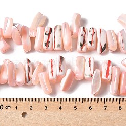 Dyed Natural Trochus Shell Beads Strands&nbsp;SSHEL-C013-09L