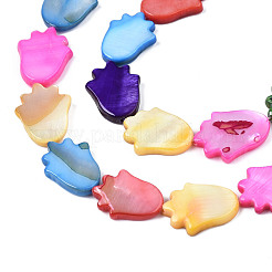 Natural Freshwater Shell Beads Strands&nbsp;SHEL-S278-04-B02