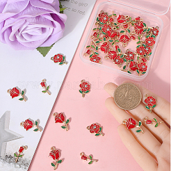 48Pcs 3 Styles Alloy Enamel Pendants&nbsp;ENAM-SC0004-79